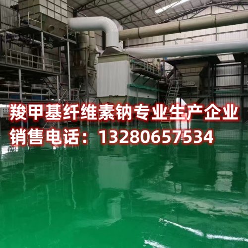 想了解羧甲基纤维素钠在耐酸和高粘特性方面的优势吗？本文深入探讨其应用领域和特点，揭示其在不同领域中的价值。