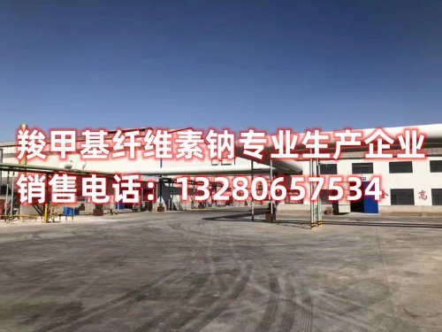 深度解析羧甲基纤维素的吸水率及其应用领域