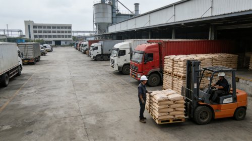 交联羧甲基纤维素钠的性能、应用与选购指南