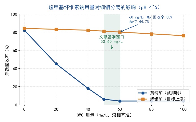 铜钼分离用羧甲基纤维素钠(CMC)：取代度、分子量与60 mg/L用量基准怎么选