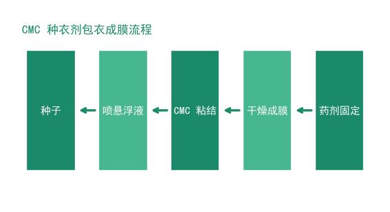 CMC在种衣剂包衣成膜中的作用流程